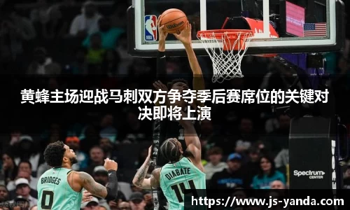 vsport- 胜利因您更精彩